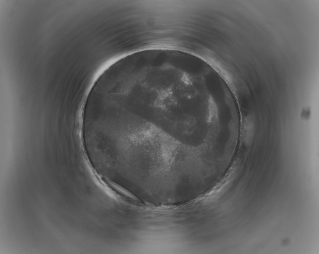 X0000097510862200802221505