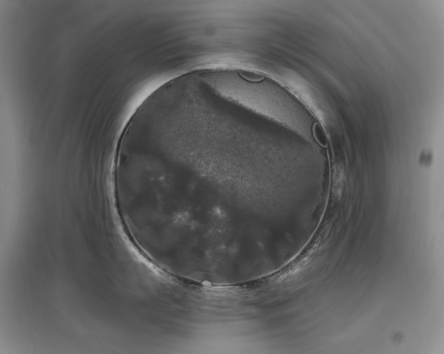 X0000097510863200802221505