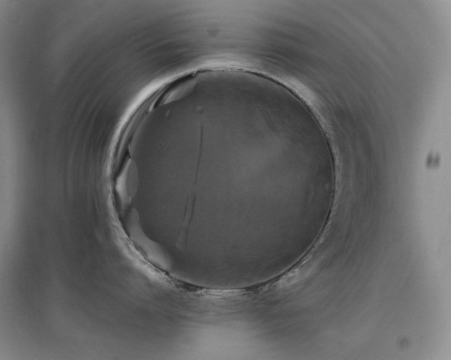 X0000097510864200802221505