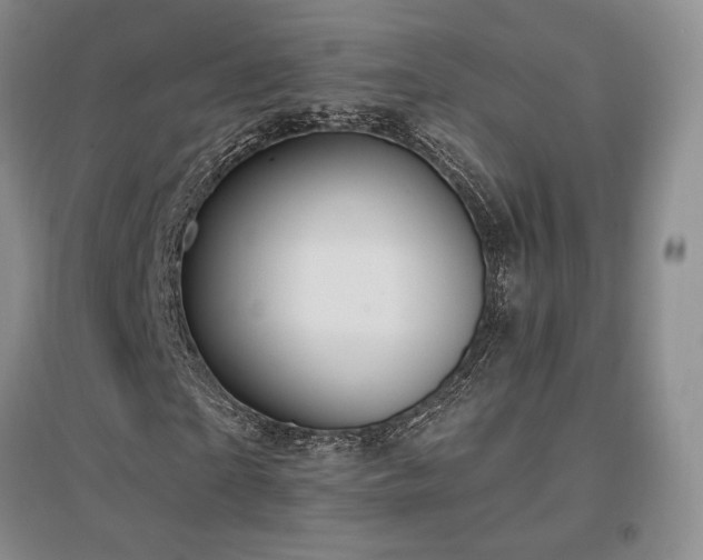 X0000097510865200802221504