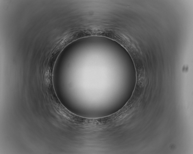 X0000097510866200802221504