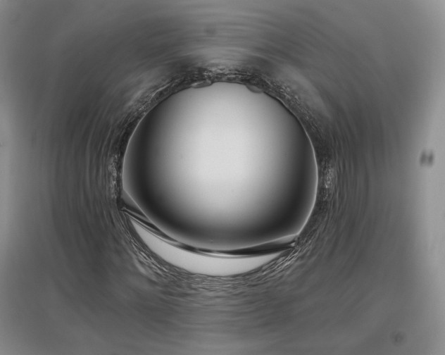 X0000097510868200802221504