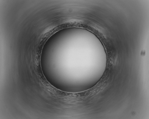 X0000097510869200802221504