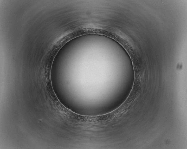 X0000097510870200802221504