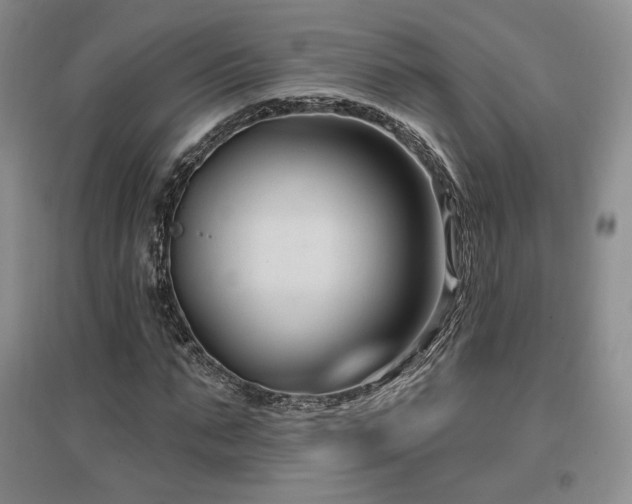 X0000097510871200802221504