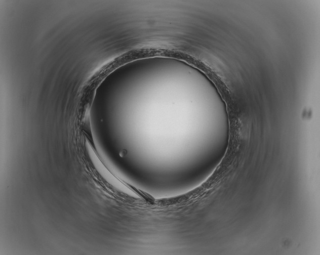 X0000097510872200802221504
