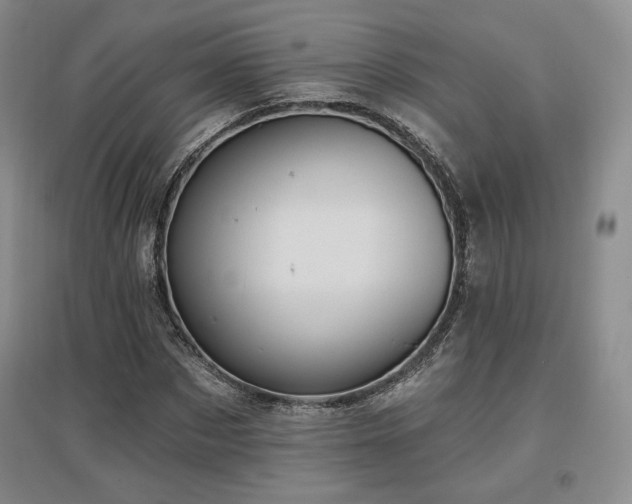 X0000097510873200802221504