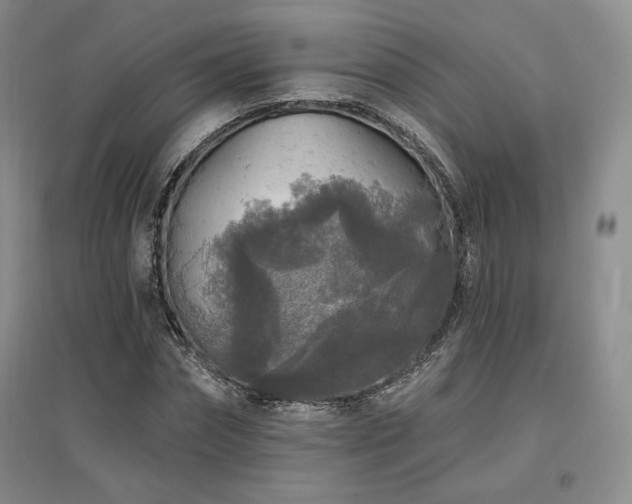 X0000097510874200802221504