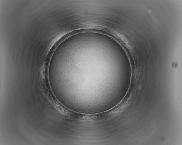 X0000097510875200802221504