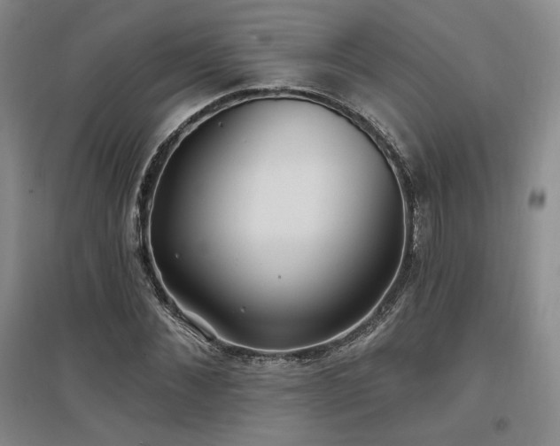 X0000097510876200802221504
