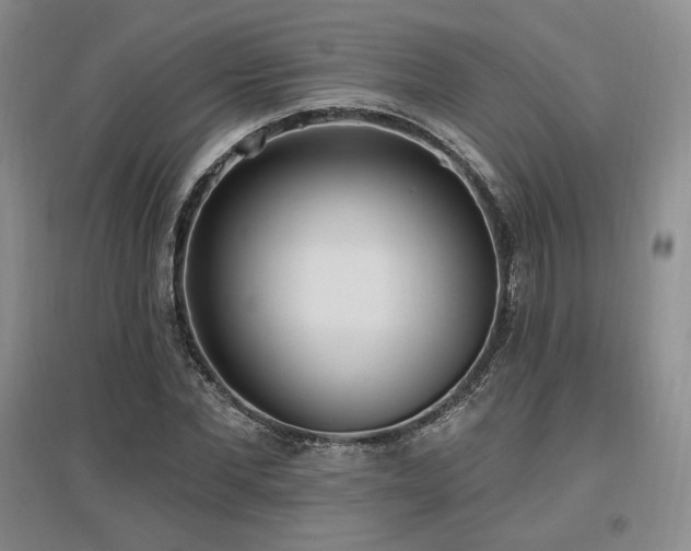 X0000097510877200802221504