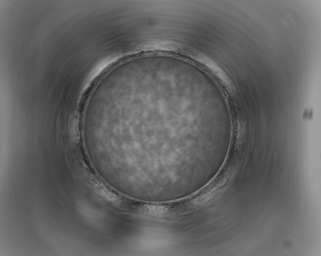 X0000097510878200802221504