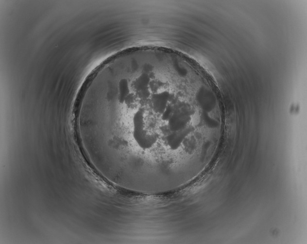 X0000097510879200802221504