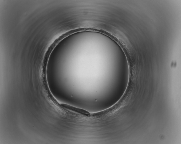 X0000097510880200802221504