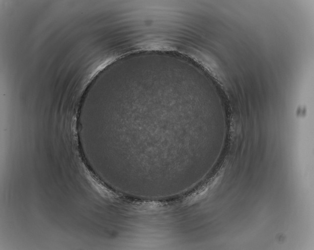 X0000097510881200802221504
