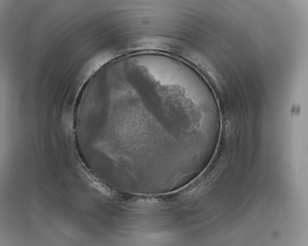 X0000097510882200802221504