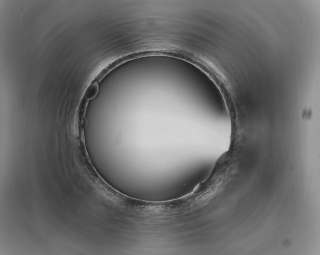 X0000097510883200802221504