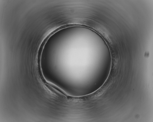 X0000097510884200802221504