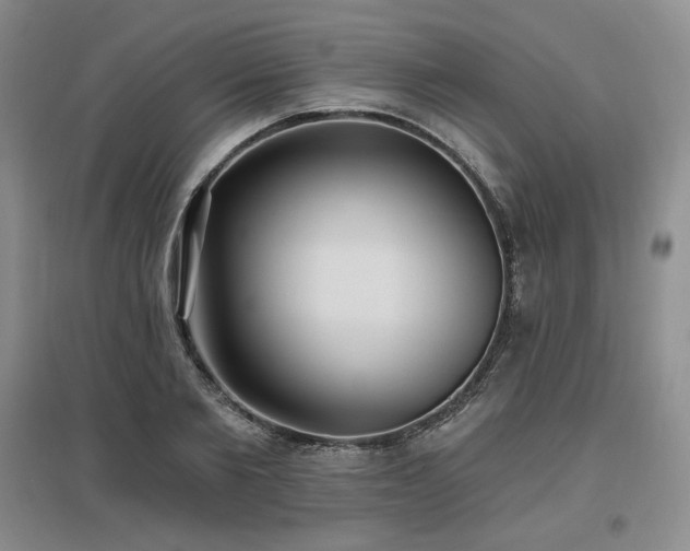 X0000097510885200802221504