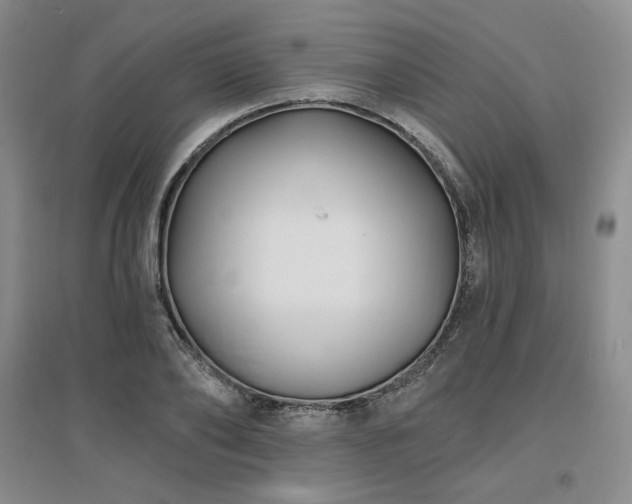 X0000097510886200802221504