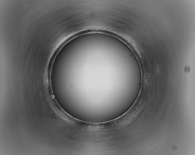 X0000097510887200802221504