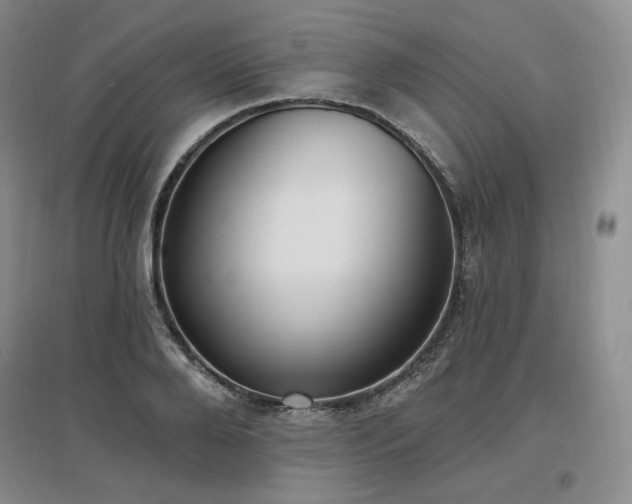 X0000097510888200802221504