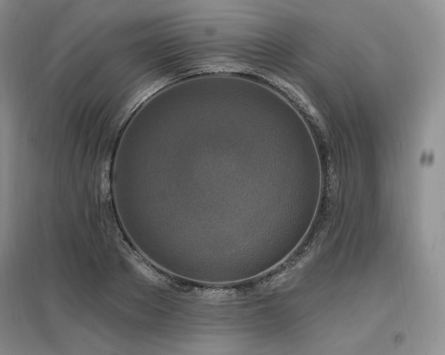 X0000097510889200802221504