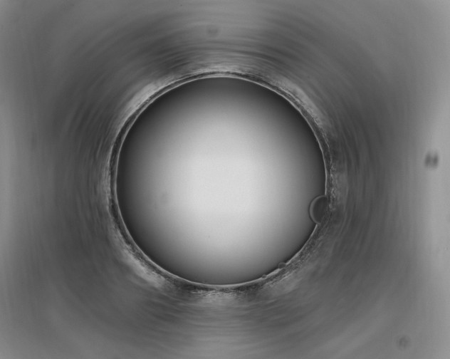 X0000097510890200802221504