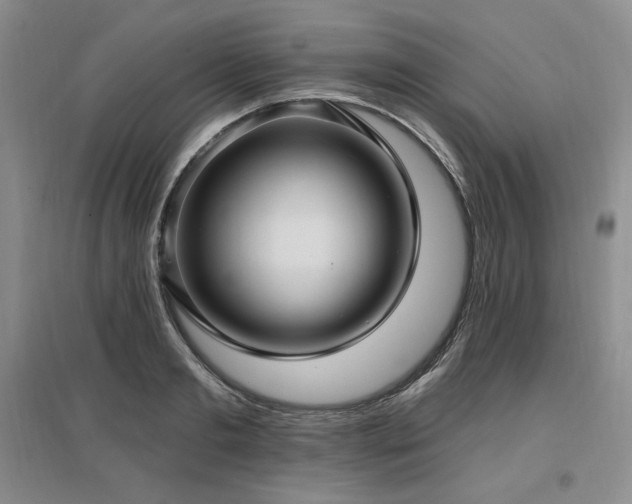 X0000097510893200802221504