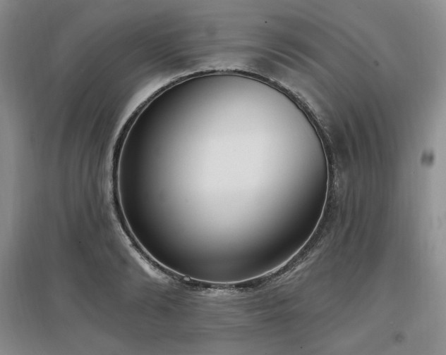 X0000097510894200802221504