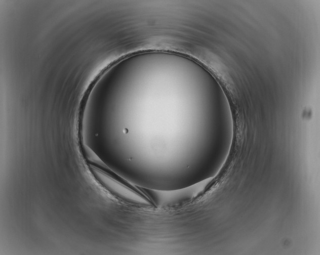 X0000097510896200802221504