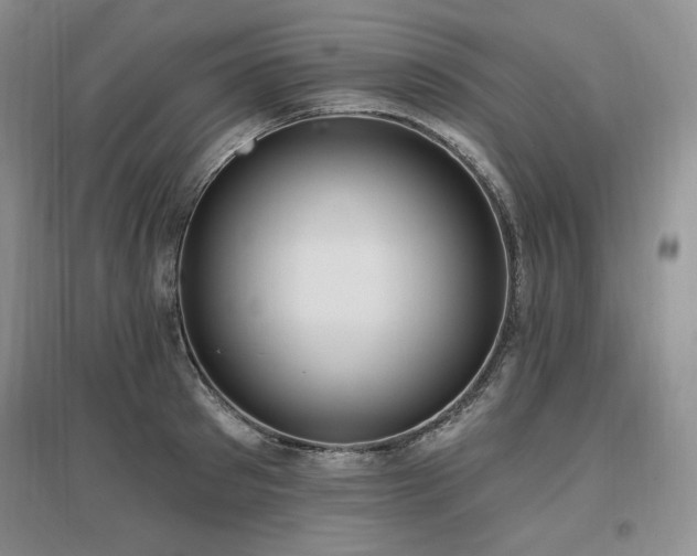 X0000097510897200802221504