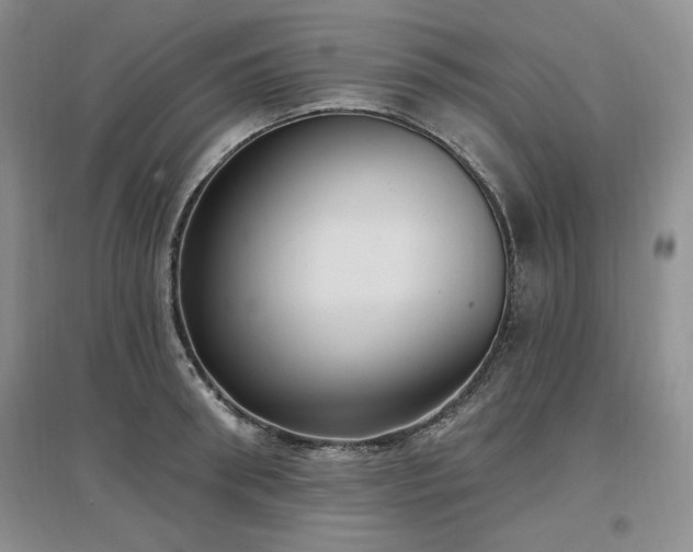 X0000097510898200802221504