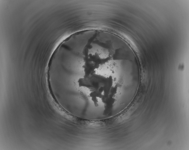 X0000097510899200802221504