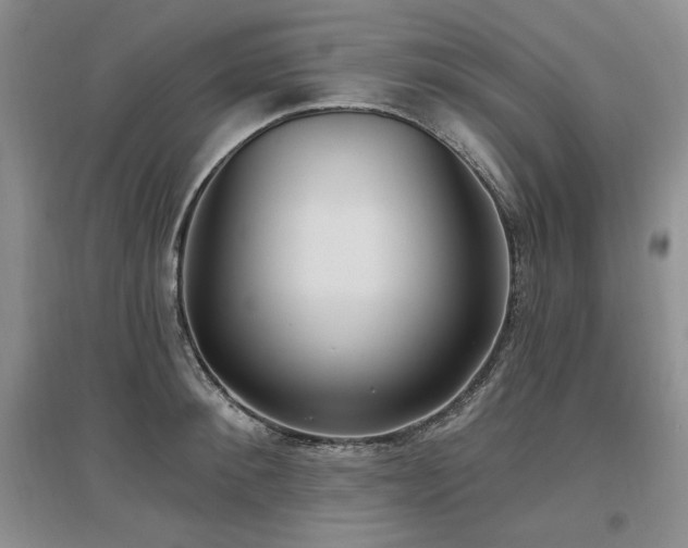 X0000097510900200802221504