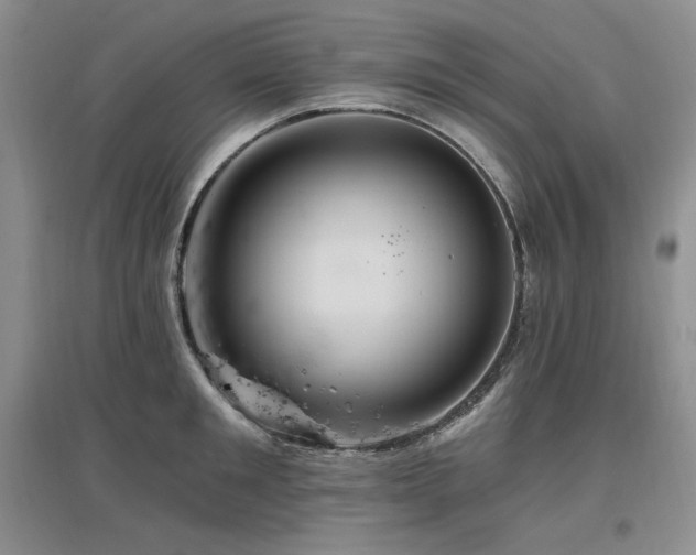 X0000097510901200802221504