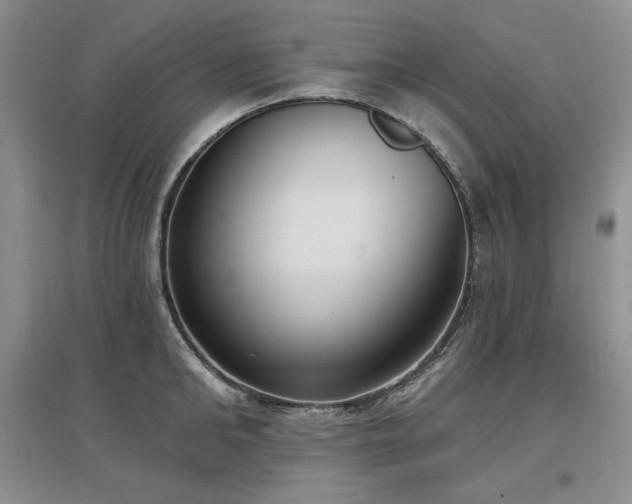 X0000097510902200802221504