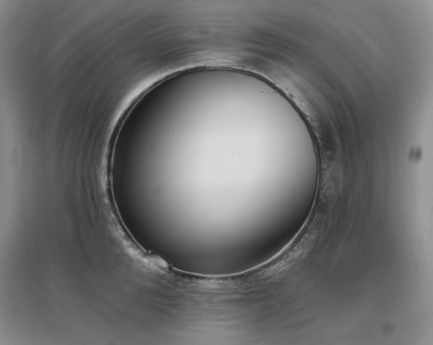 X0000097510904200802221504
