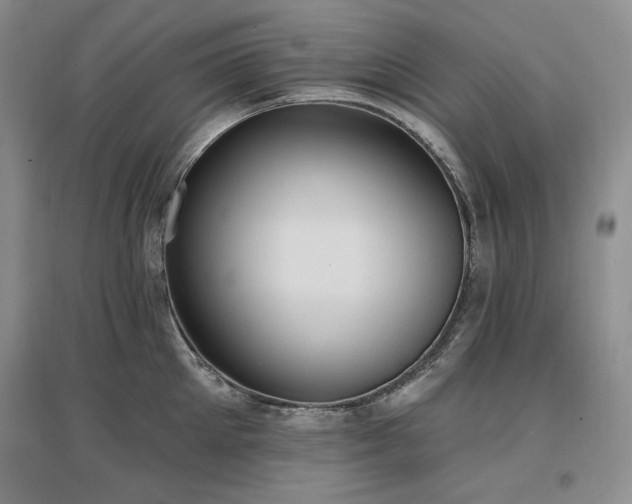X0000097510905200802221504