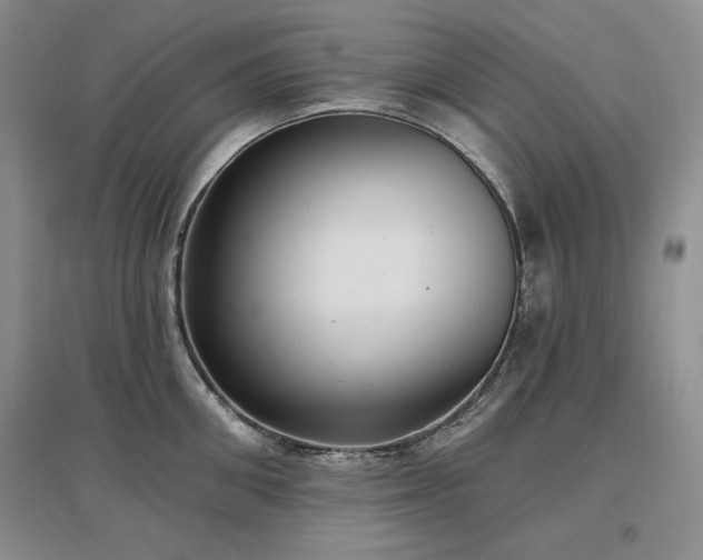 X0000097510906200802221504