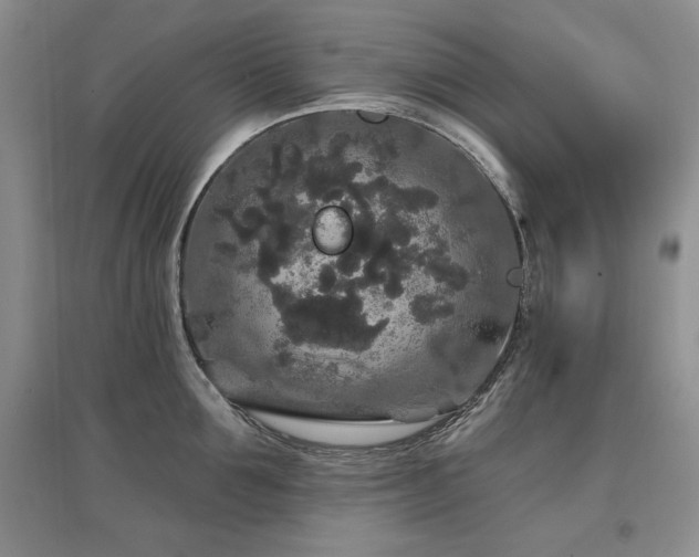 X0000097510907200802221504