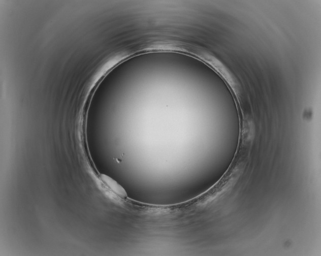 X0000097510909200802221504