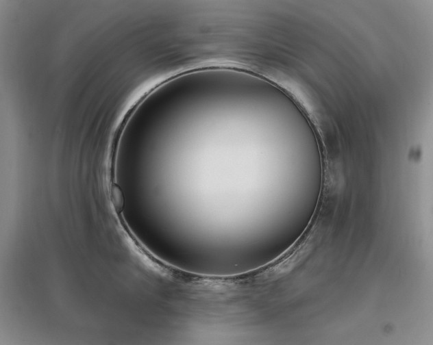 X0000097510910200802221504