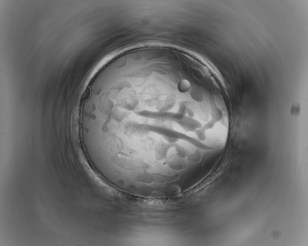 X0000097510911200802221504