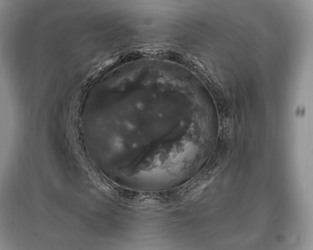 X0000097510913200802221503