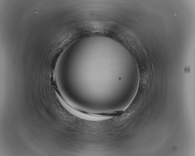 X0000097510916200802221503