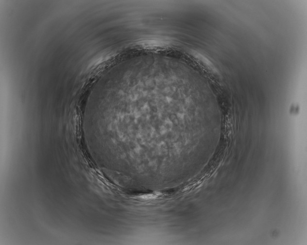 X0000097510917200802221503