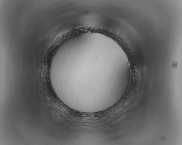 X0000097510918200802221503