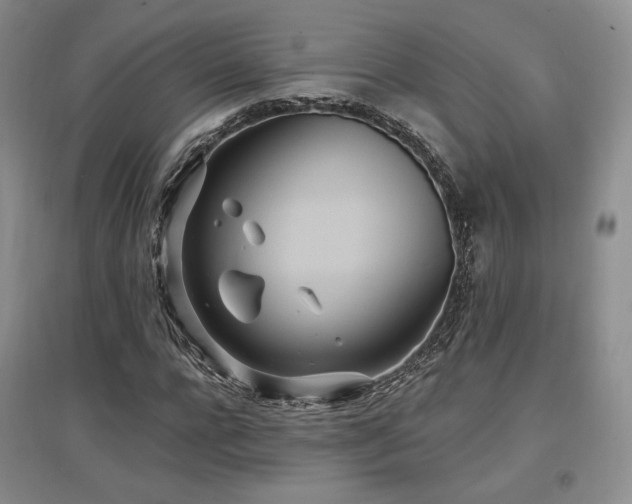 X0000097510920200802221503