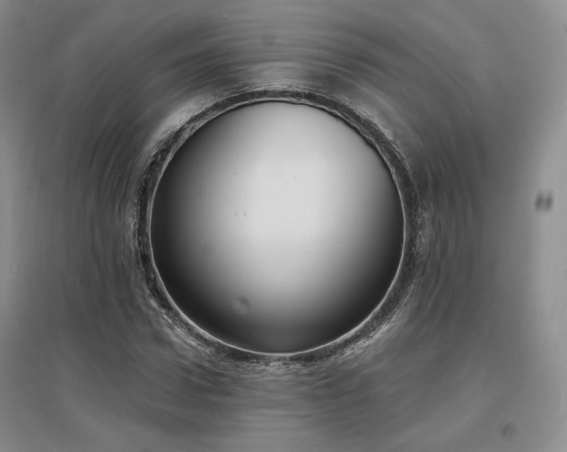 X0000097510922200802221503